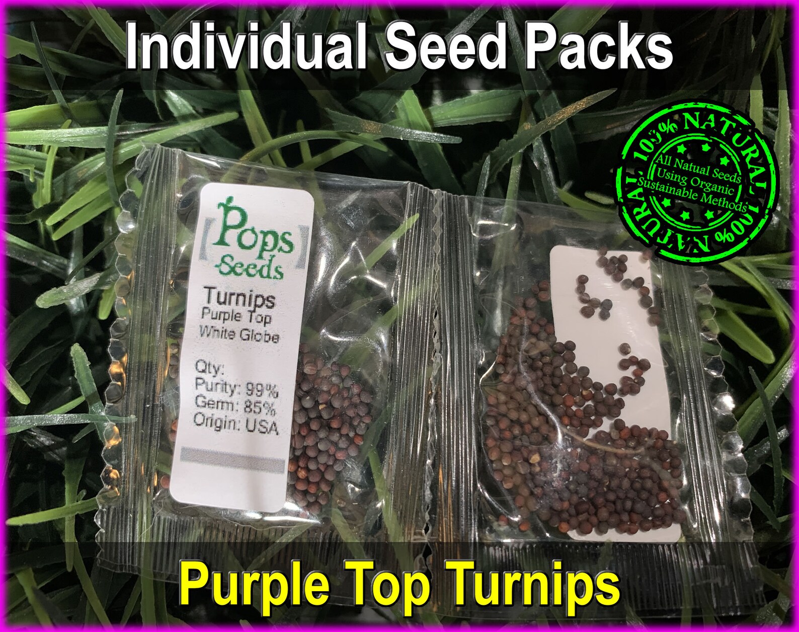 Heirloom Purple Top Turnip Seed Packs White Globe Turnip Etsy
