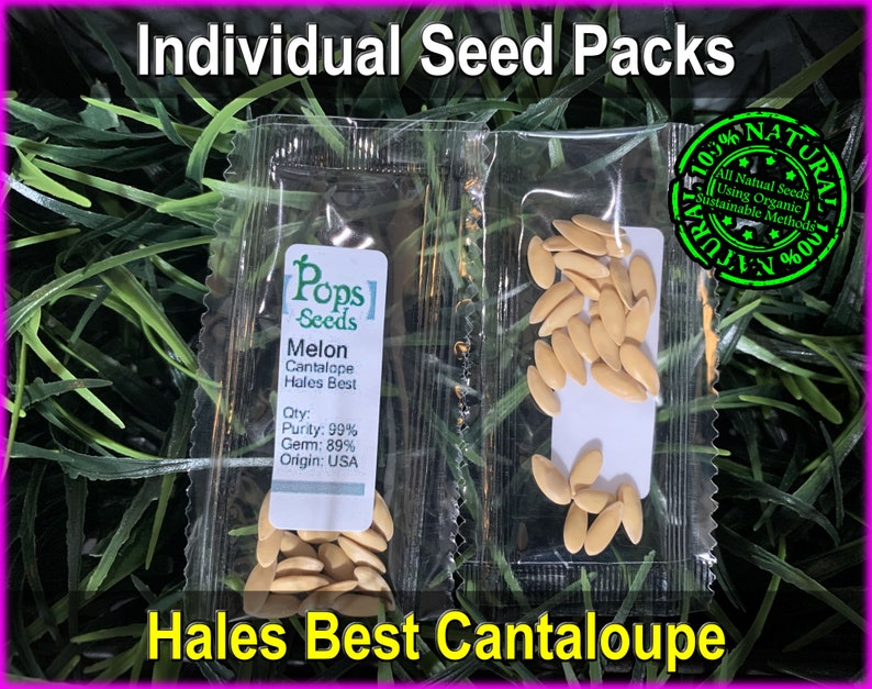 Heirloom Cantaloupe Seeds Fruit Seeds Heirloom Fruit Seeds Etsy