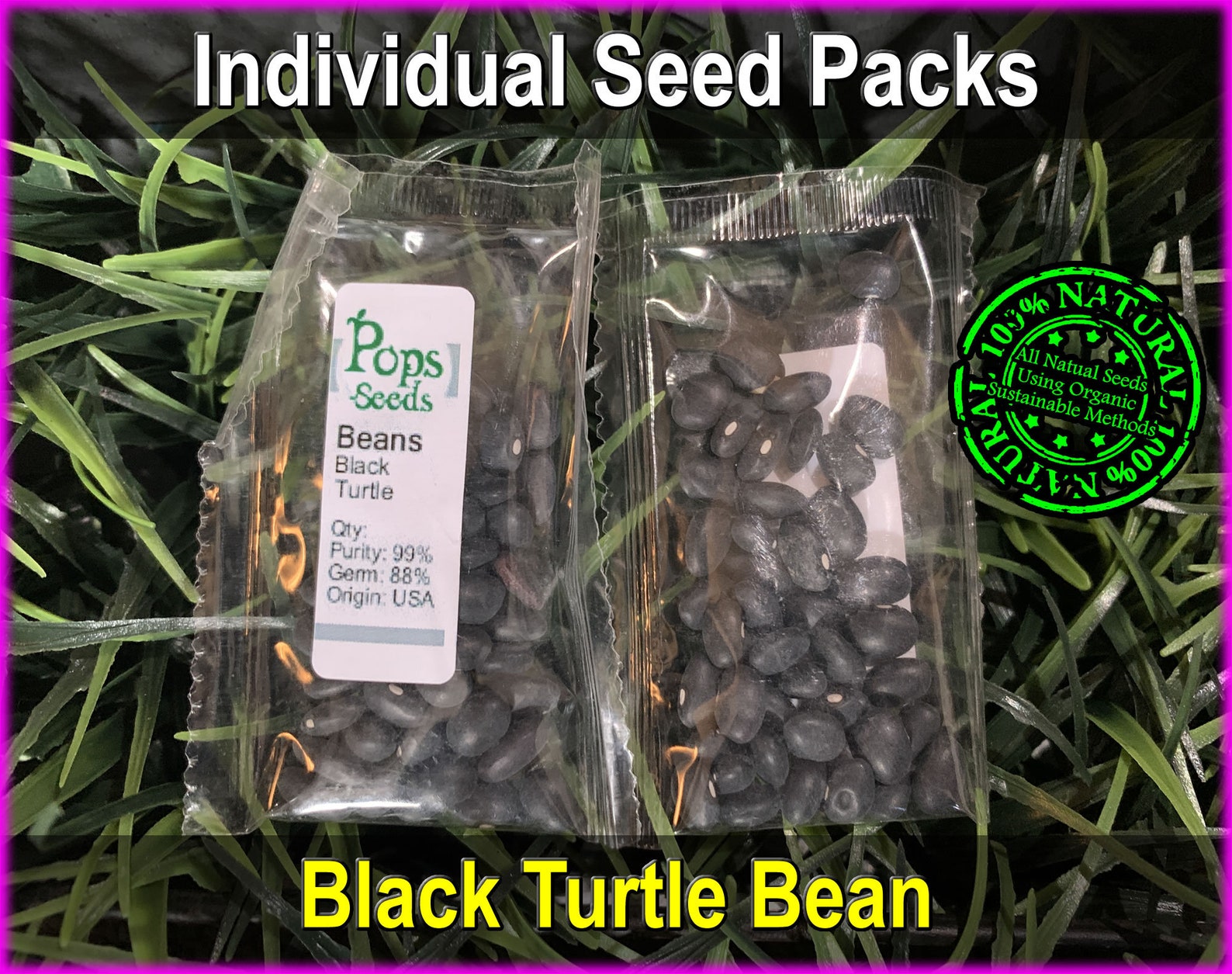 Heirloom Black Turtle Bean Seed Packs Organic Black Bean Etsy