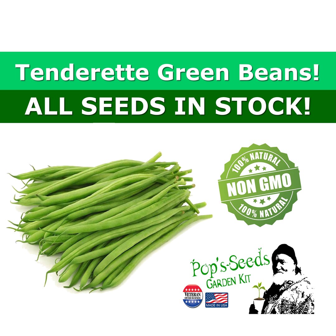 Heirloom Tenderette Green Bean Vegetable Seed Packs Bush Type Green