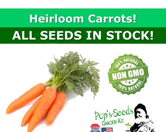 Heirloom Carrot Vegetable Seed Packs - Chantenay Carrot Seeds - Non Gmo - Heirloom Vegetable Seeds - Carrot Carrots Chantenay Red Core Seed