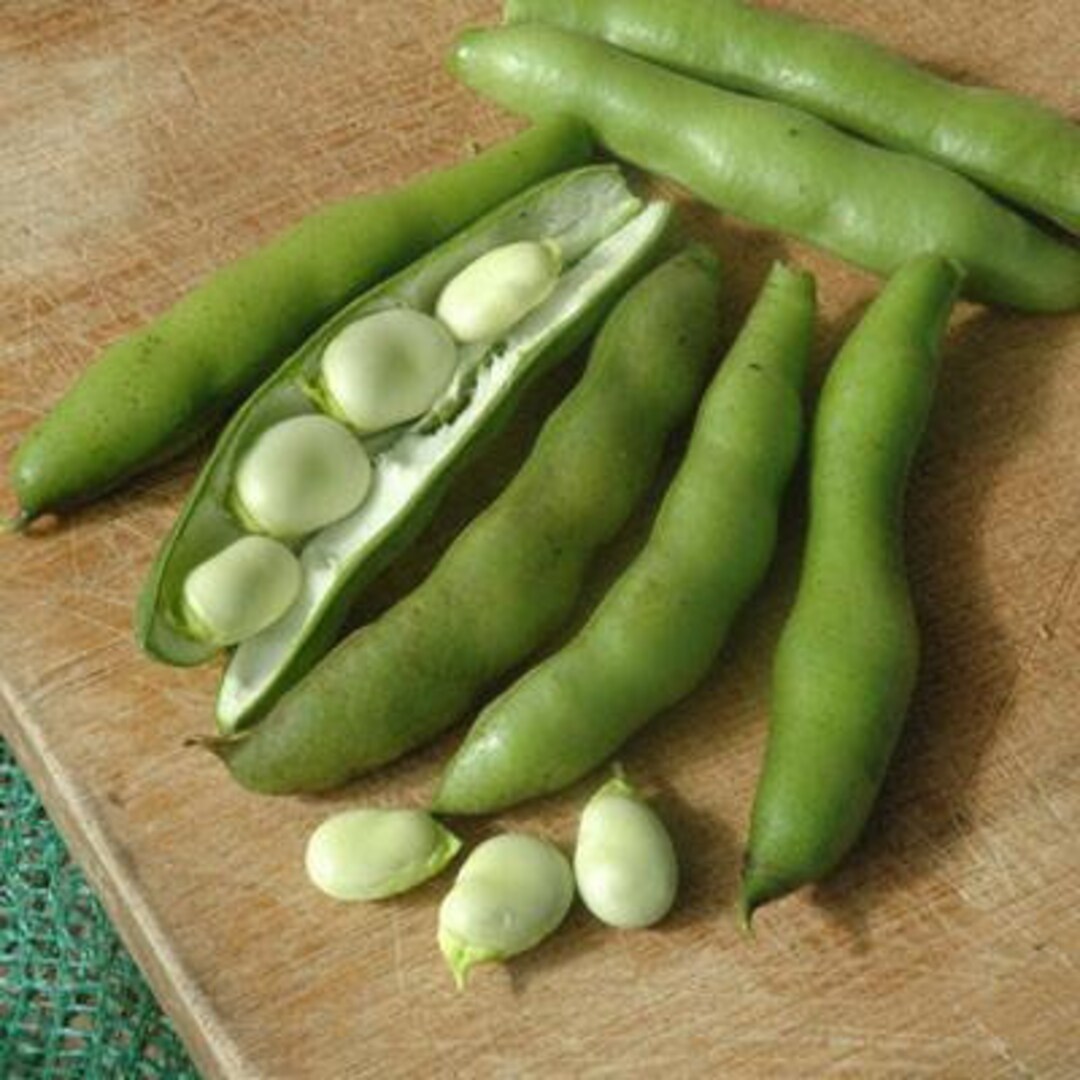 Heirloom Henderson Lima Bean Vegetable Seed Packs Lima Bean Seeds Non