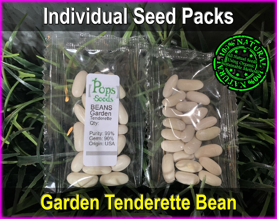 Heirloom Tenderette Green Bean Vegetable Seed Packs Bush Etsy