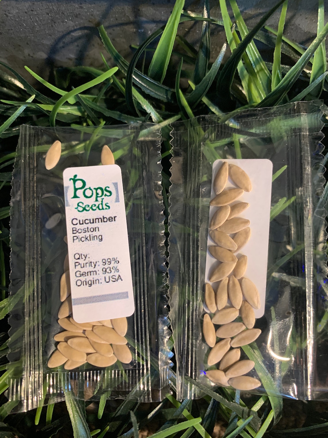 Heirloom Vegetable Garden Seed Kit Emergency Survival Seed Etsy