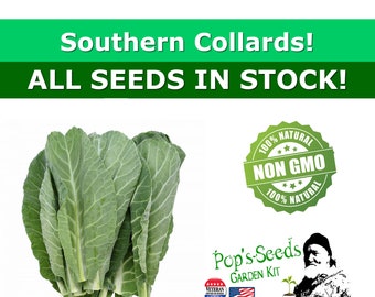 Collard Greens Seeds USA Garden Southern Vegetable Collards Green Kale Seed 2020 Collard Greens Seeds USA Garden Southern Vegetable Collards Green Kale Seed 2020