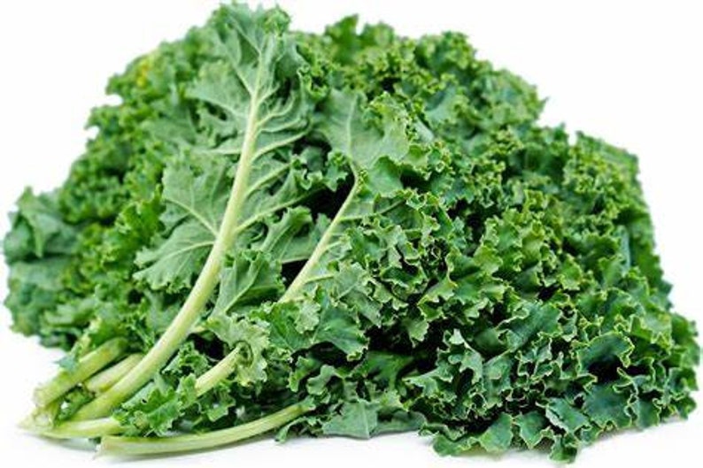 Heirloom Siberian Kale Seeds Kale Seeds Non Gmo Kale Etsy