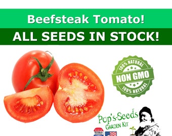 Beefsteak Tomato Seed Packs - Organic Beefsteak Tomato Seeds- Non Gmo - Heirloom Vegetable Seeds - Tomato - Non Gmo - Seed Package