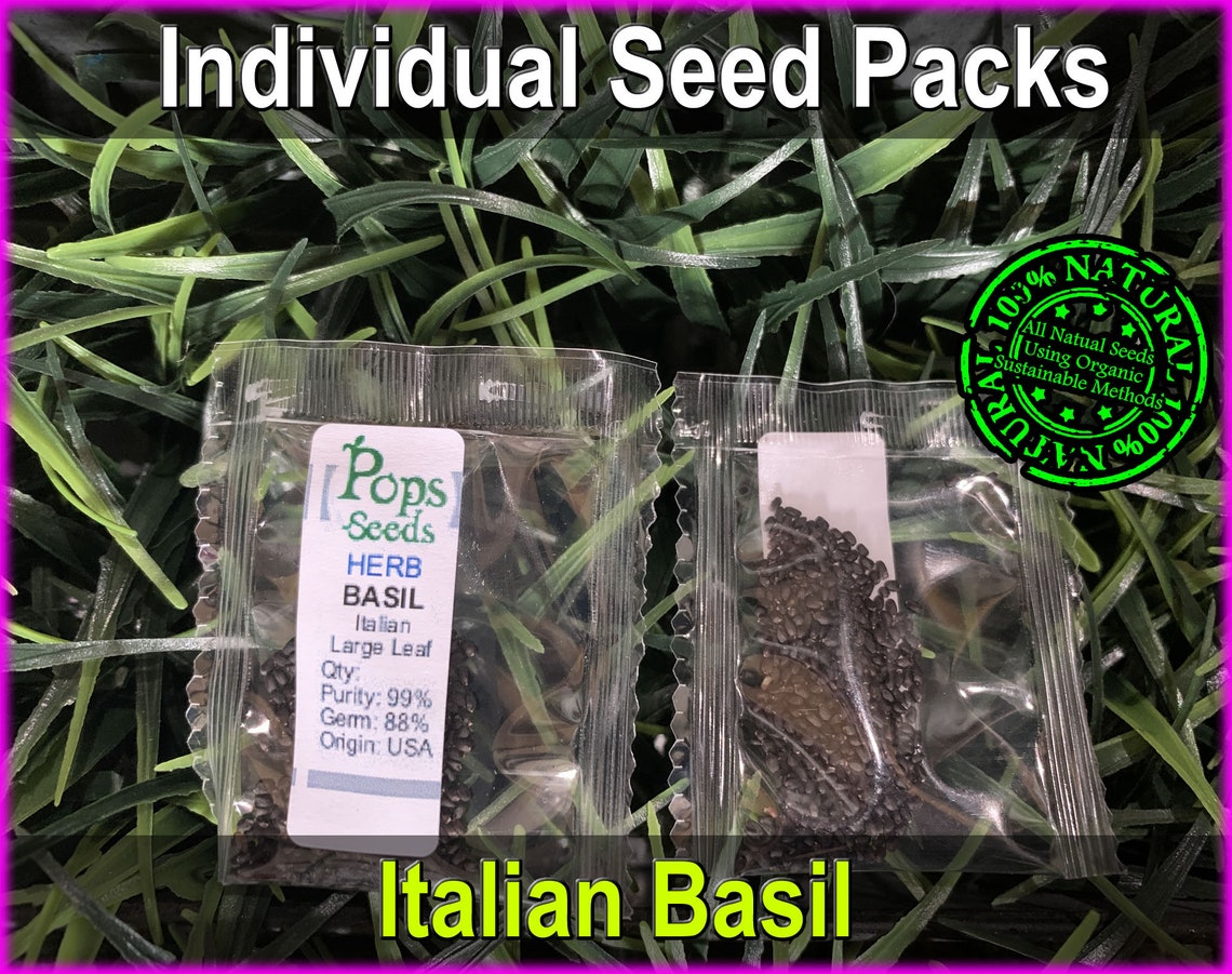 Basil Herb Seed Packs Organic Basil Seeds Non Gmo Etsy