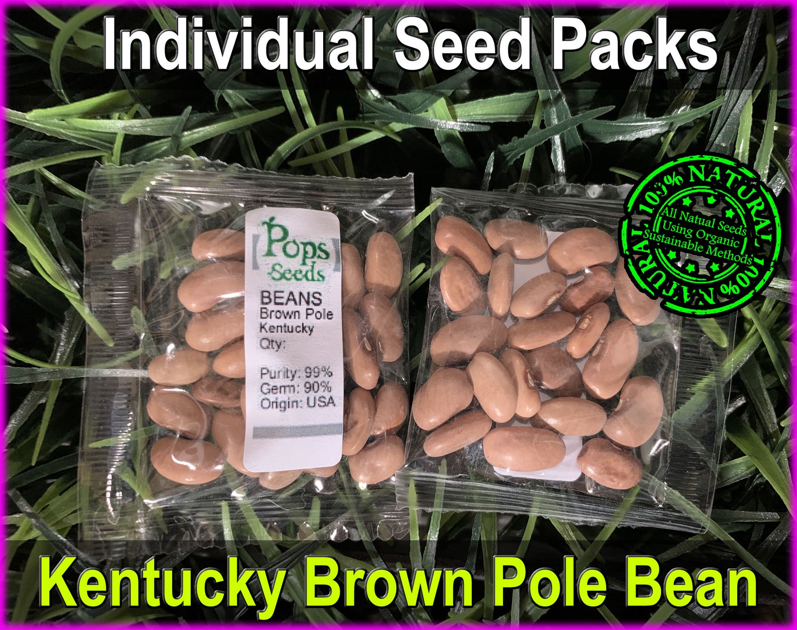 Brown Kentucky Wonder Pole Bean Seed Packs Brown Pole Bean Etsy
