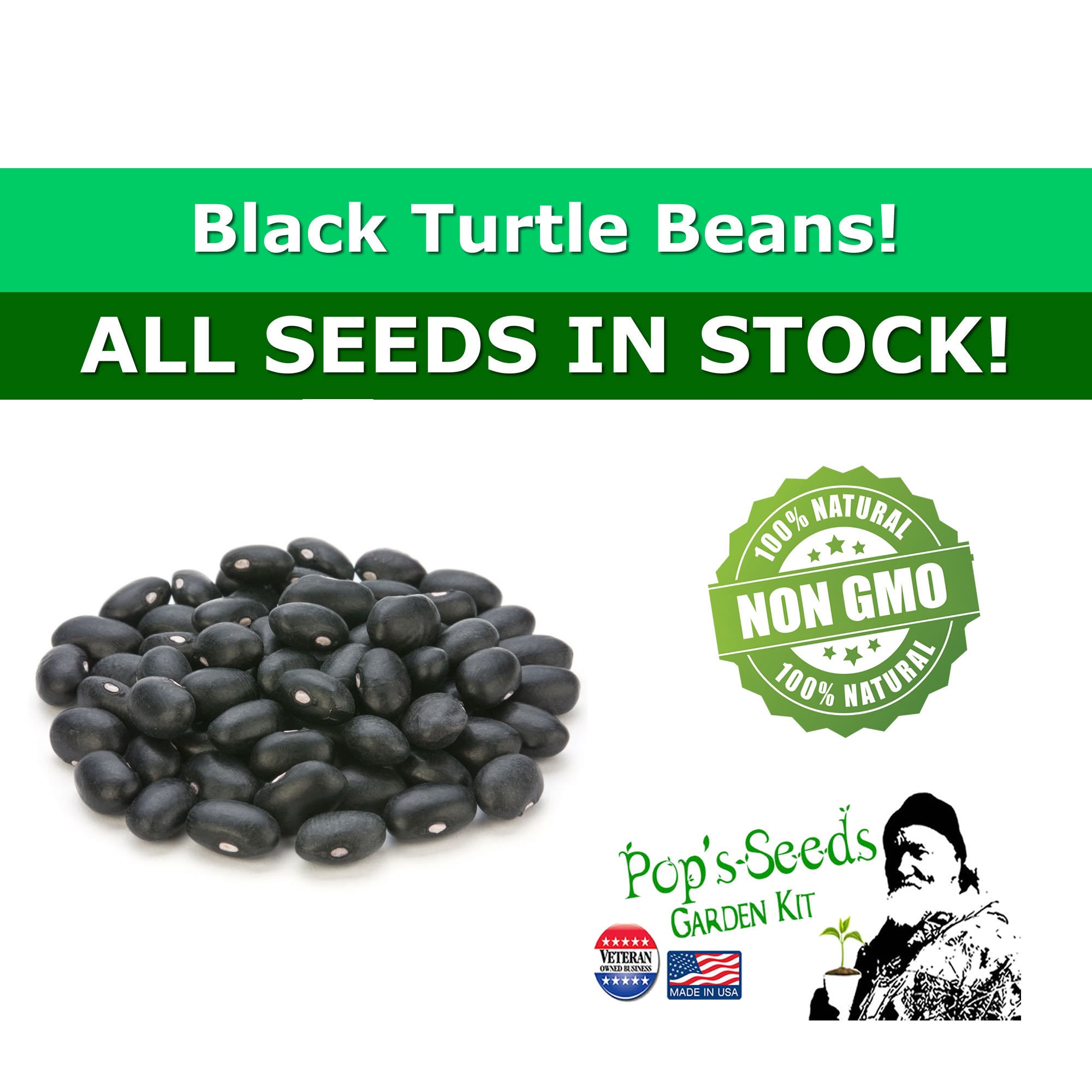 Heirloom Black Turtle Bean Seed Packs Organic Black Bean Etsy