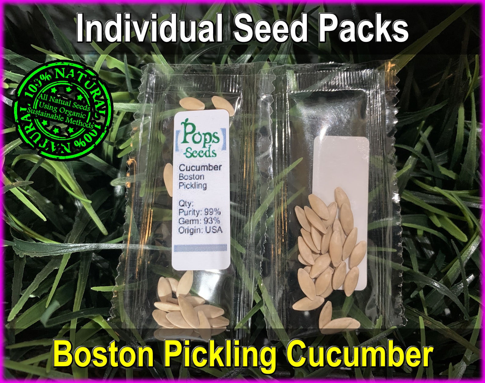 Heirloom Boston Cucumber Vegetable Seed Packs Pickling Type Etsy