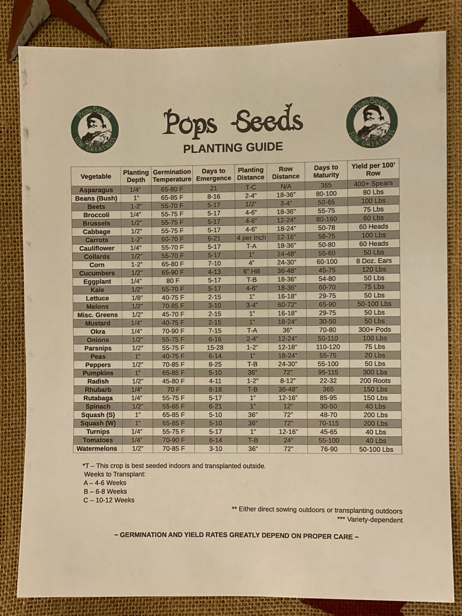 Heirloom Garden Salsa Kit Create Your Own Salsa Kit Non | Etsy