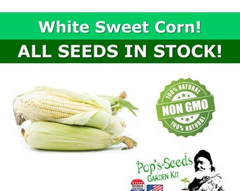 Heirloom White Sweet Corn - Corn Seeds - Non Gmo Corn - Seed Packs - Vegetable Seed Packs