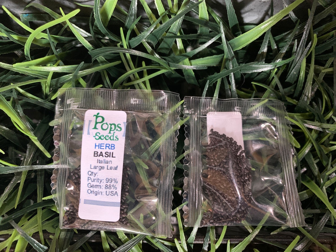 Basil Herb Seed Packs Organic Basil Seeds Non Gmo Etsy