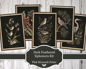Dark Feathered Ephemera Kit, Printable, Bird Aviary Paper (Digital Download)