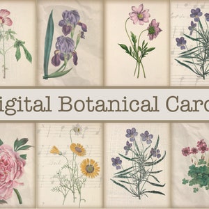 Digital Floral Cards, Botanical Cards for Junk Journaling, Journaling Cards, Printable Flower Cards, Digital Ephemera Trading Cards, Collage