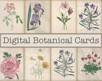 Digital Floral Cards, Botanical Cards for Junk Journaling, Journaling Cards, Printable Flower Cards, Digital Ephemera Trading Cards, Collage