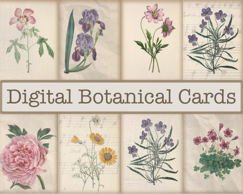 May include: A set of eight digital botanical cards featuring vintage illustrations of various flowers, including pink, purple, and yellow blooms. The cards are perfect for crafting, scrapbooking, and digital design projects.
