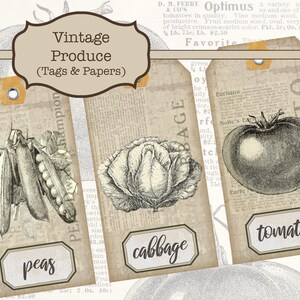 Puede incluir: Tres etiquetas imprimibles vintage con ilustraciones en blanco y negro de guisantes, col y tomate. Cada etiqueta tiene un borde marr&oacute;n y una etiqueta blanca con el nombre de la verdura impresa en negro.