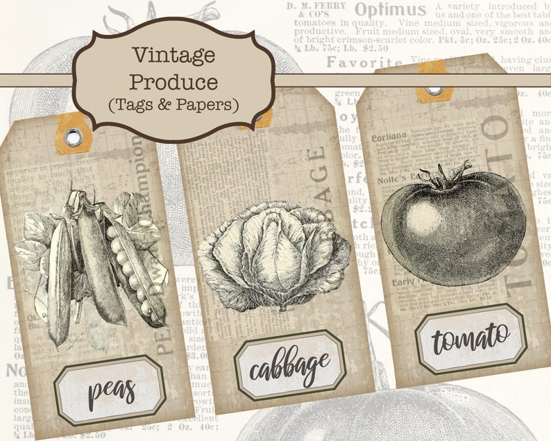 Puede incluir: Tres etiquetas imprimibles vintage con ilustraciones en blanco y negro de guisantes, col y tomate. Cada etiqueta tiene un borde marr&oacute;n y una etiqueta blanca con el nombre de la verdura impresa en negro.