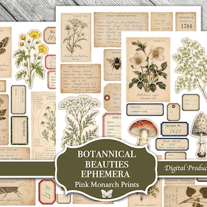 May include: A collection of vintage-style botanical and insect ephemera featuring illustrations of moths, flowers, mushrooms, and ferns. The set includes various labels, specimen tags, and field observation cards with printed text and numbers.