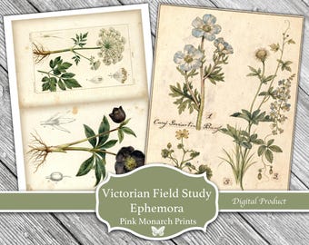 Victorian Field Study Ephemera