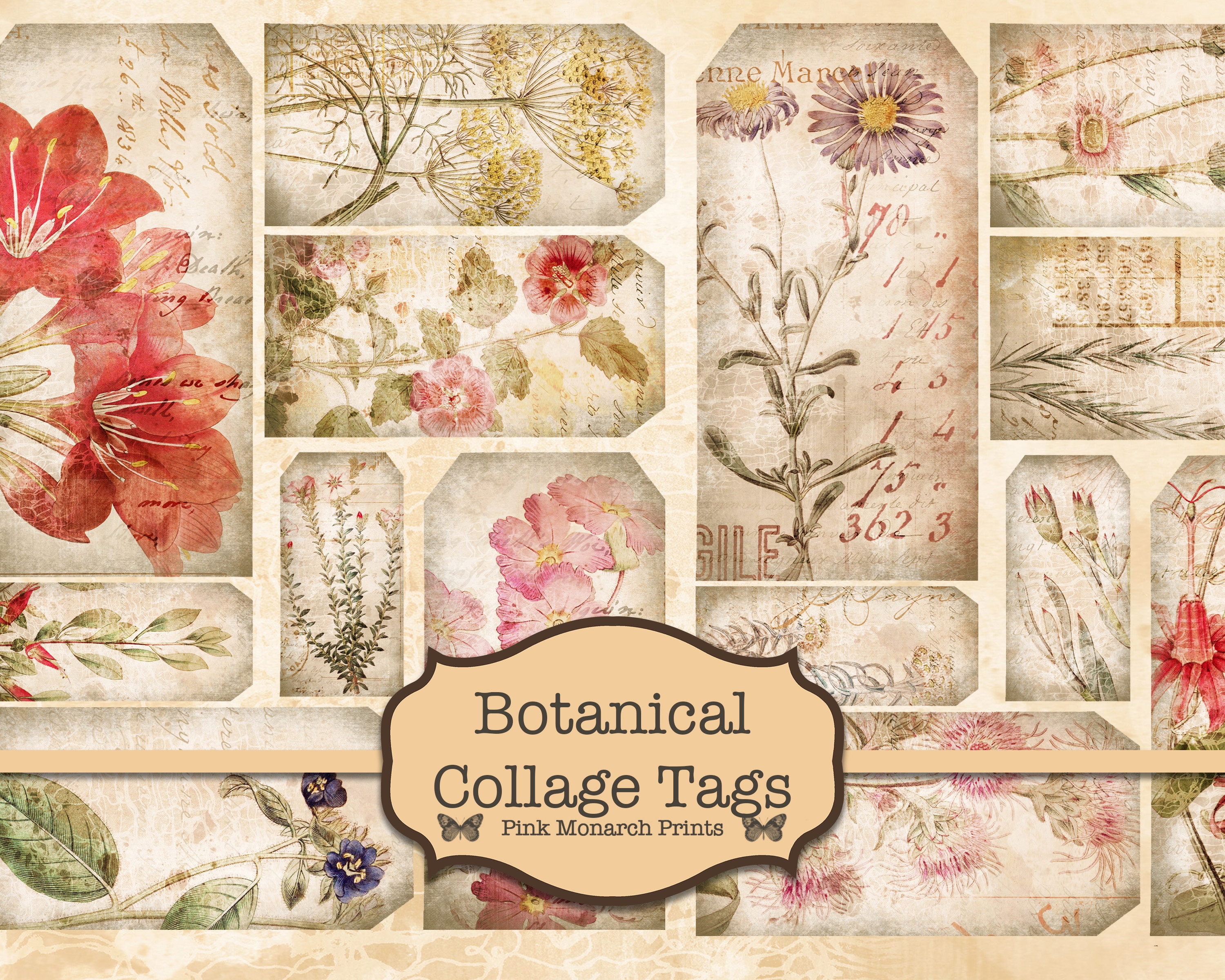 Botanical Collage - Etsy