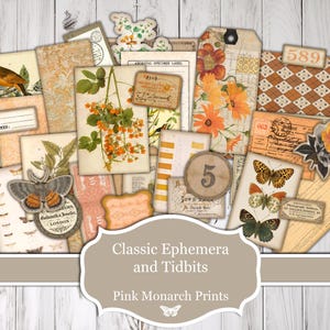 May include: A collection of vintage-style paper ephemera featuring botanical illustrations, butterflies, birds, and antique labels. The set includes various tags, cards, and patterned papers in shades of orange, brown, and cream with text elements.