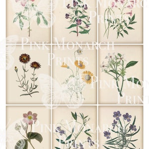 May include: Nine vintage botanical illustrations of flowers, each on a separate card. The flowers are depicted in a realistic style with delicate details. The cards are cream-colored with a subtle texture.
