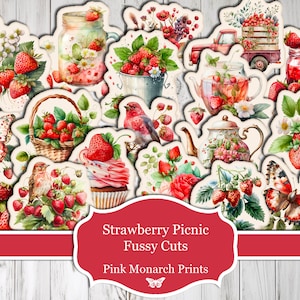 Aardbeienpicknick Kieskeurig, Strawberry Junk Journal, bloemen, scrapbooking, junkjournaal, junkjournaling, digitaal, kortstondig, afdrukbaar