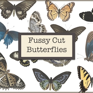 Fussy Cut Butterflies, Butterfly Fussy Cut, Butterfly Junk Journal, Butterfly Digital Download, Butterflies Fussy Cut, Butterfly Digital