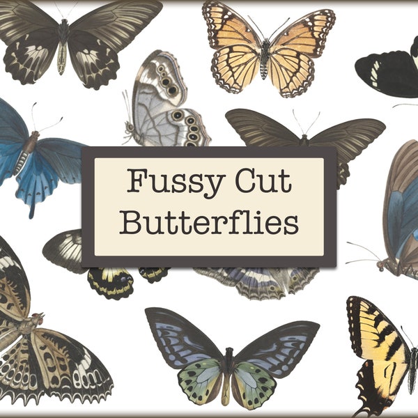 Fussy Cut Butterflies, Butterfly Fussy Cut, Butterfly Junk Journal, Butterfly Digital Download, Butterflies Fussy Cut, Butterfly Digital