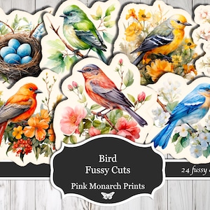 Fussy Cut Birds, Bird Fussy Cut, Bird Junk Journal, Birds Fussy Cut, Bird Digital, Bird Junk Journaling, Bird Ephemera, Printable, Digital