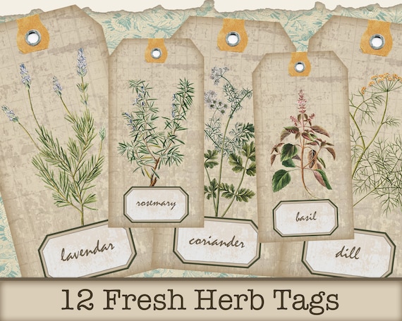 Digital Floral Cards, Botanical Cards for Junk Journaling, Herb Garden Sign, Floral Digital Tag, Printable Herb Pages, Garden Floral Tags