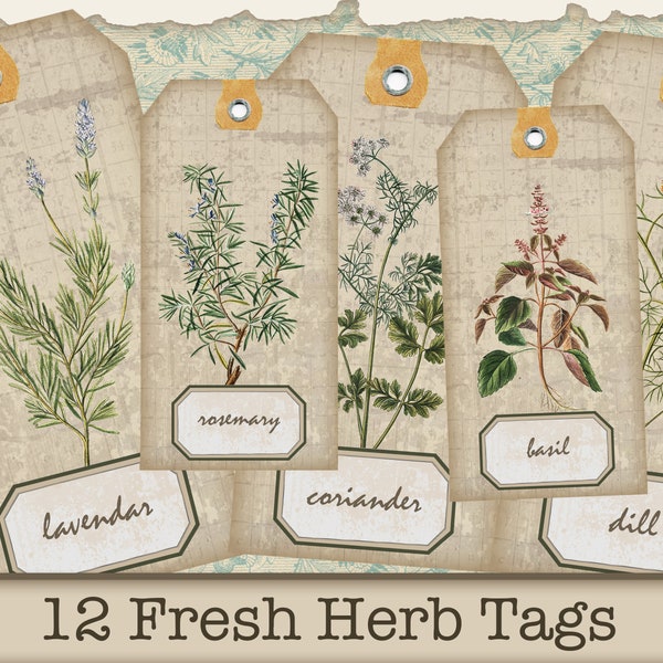 Digital Floral Cards, Botanical Cards for Junk Journaling, Herb Garden Sign, Floral Digital Tag, Printable Herb Pages, Garden Floral Tags