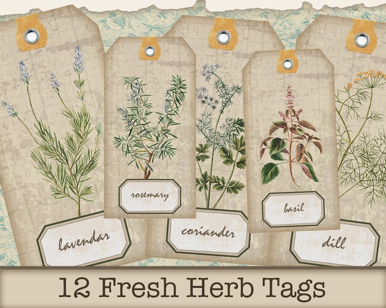 May include: Twelve vintage-style gift tags featuring illustrations of various herbs, including lavender, rosemary, coriander, basil, and dill. Each tag has a rustic brown background with a white label and the herb name printed in black.