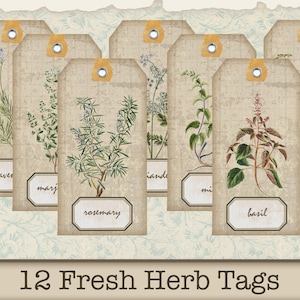 May include: Twelve vintage-style gift tags featuring illustrations of various herbs, including lavender, marjoram, rosemary, dill, and basil. The tags are printed on a beige background with a distressed look and have a brown border. The text "12 Fresh Herb Tags" is printed at the bottom of the image.