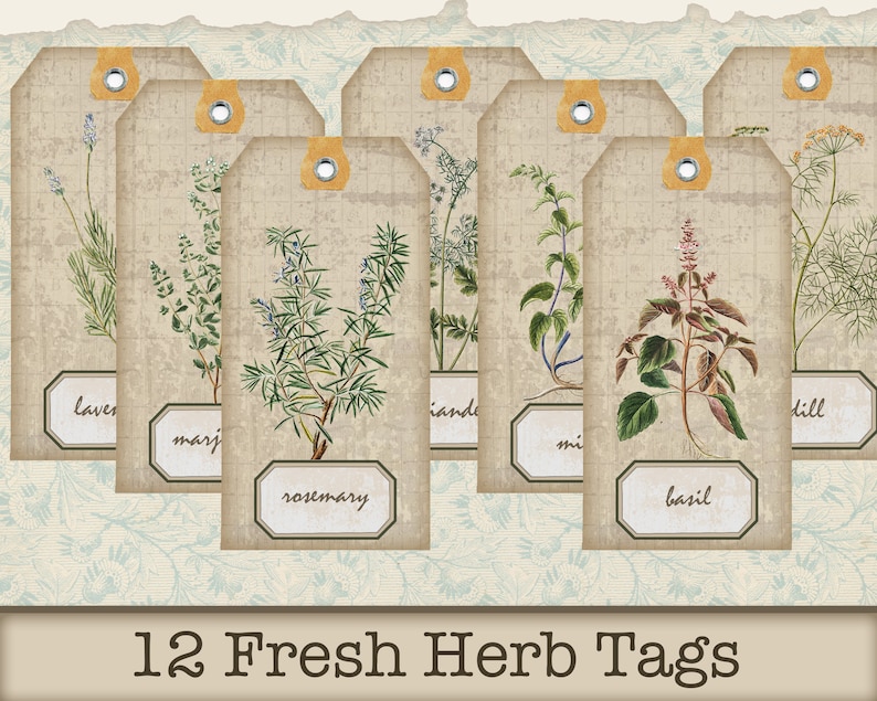 May include: Twelve vintage-style gift tags featuring illustrations of various herbs, including lavender, marjoram, rosemary, dill, and basil. The tags are printed on a beige background with a distressed look and have a brown border. The text "12 Fresh Herb Tags" is printed at the bottom of the image.