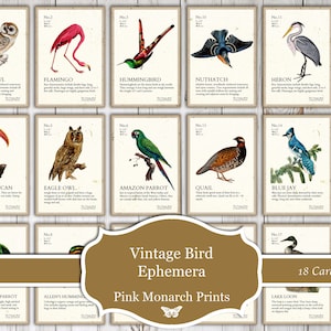 Vintage Bird Ephemera, Digital, Vintage, Bird Ephemera, Bird Cards, Journal Tags, Junk Journaling Ephemera, Junk Journal Supplies, Ephemera image 3