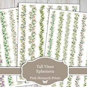 Ephemera Tall Vines, stampabile, da usare come fasce addominali/decalcomanie per bordi, taglio elaborato, diario spazzatura, digitale, diario spazzatura, ephemera, digitale, floreale