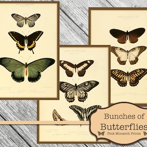 Junk Journaling Kit, Junk Journal Butterflies, Junk Journaling Butterly Ephemera,  Printable Ephemera, Butterfly Ephemera, Butterfly Tags