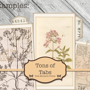 May include: A set of vintage-style file folder tabs with botanical illustrations. The tabs are labeled with numbers and text, including "Tons of Tabs" and "Pink Monarch Prints".