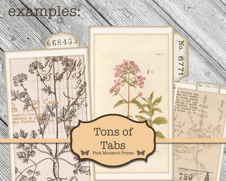 May include: A set of vintage-style file folder tabs with botanical illustrations. The tabs are labeled with numbers and text, including "Tons of Tabs" and "Pink Monarch Prints".
