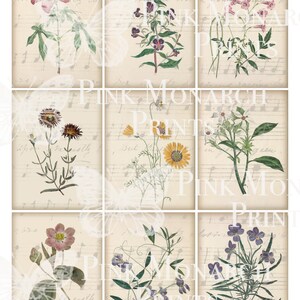 May include: Nine vintage botanical illustrations of flowers on a beige background with musical notes. The flowers are in shades of pink, purple, yellow, and white.