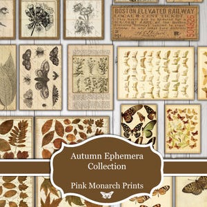 May include: A selection of vintage prints with botanical illustrations, butterflies, and leaves in brown, beige, and sepia tones, displayed in wooden frames. The image includes text that reads "Autumn Ephemera Collection" and "Pink Monarch Prints".