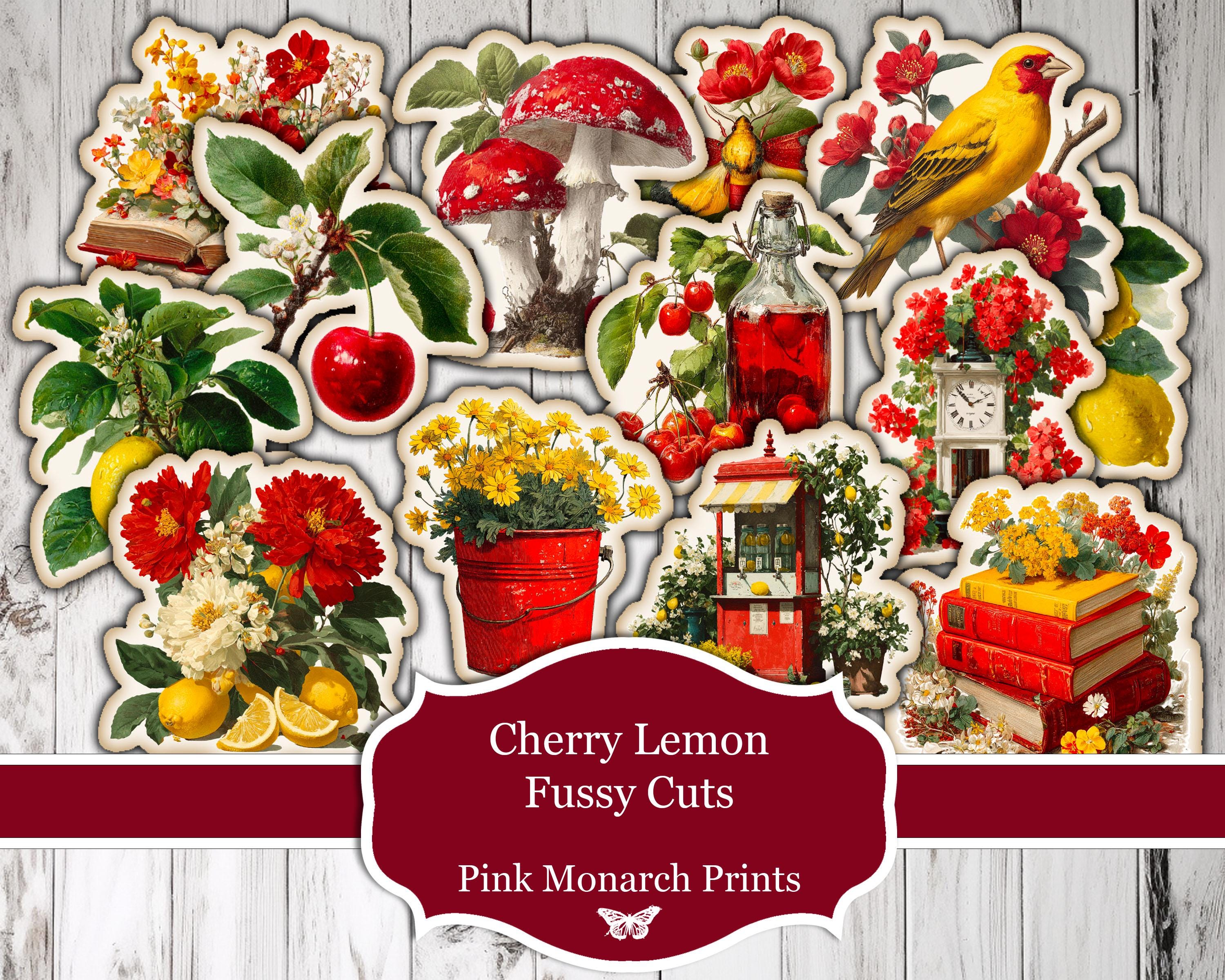 Cherry Lemon Fussy Cuts, Printable, Digital, Pink Monarch Prints, Red Junk Journal, Yellow Junk Journal, Fussy Cuts, Clipart, Summer