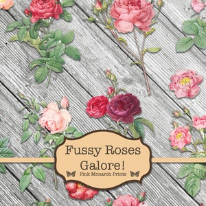 Fussy Cut Roses, Flower Fussy Cut, Junk Journal Embellishments, Roses Digital Download, Floral Fussy Cut, Rose Ephemera,  Digital, Printable