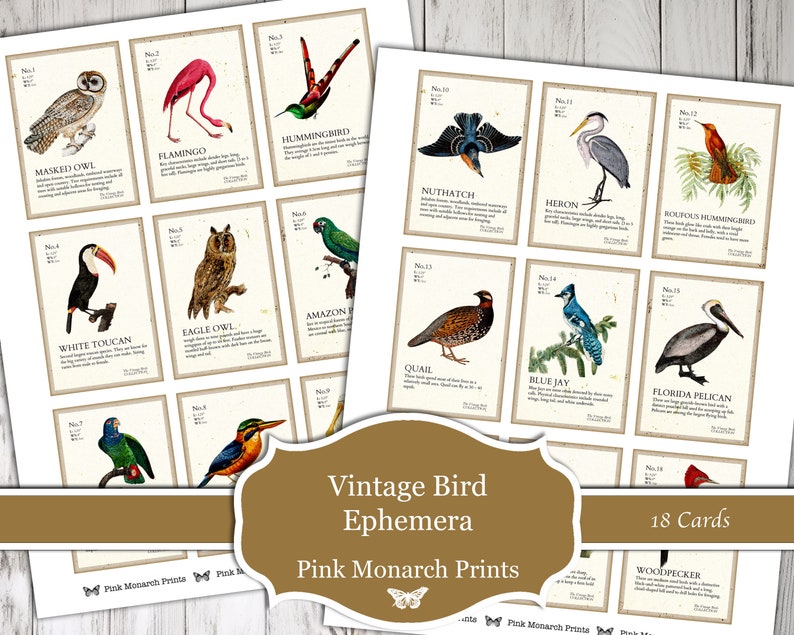 Vintage Bird Ephemera, Digital, Vintage, Bird Ephemera, Bird Cards, Journal Tags, Junk Journaling Ephemera, Junk Journal Supplies, Ephemera image 4