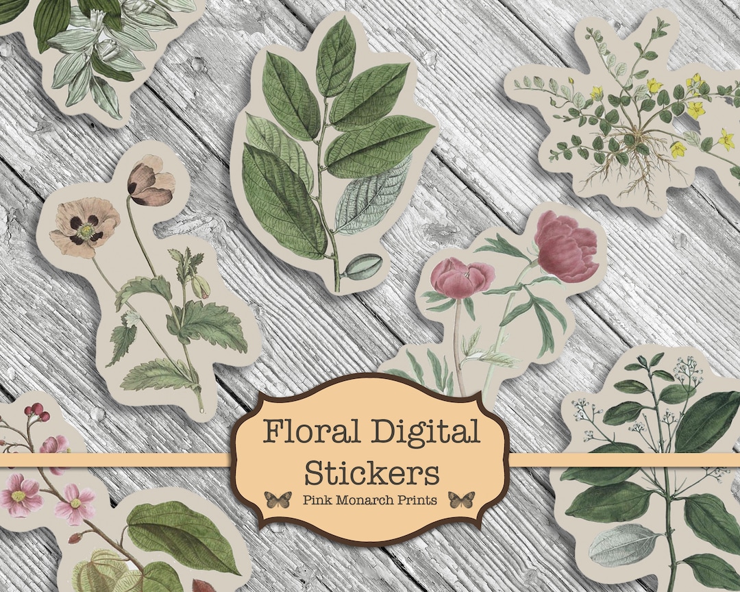 Fussy Cut Flower, Junk Journal Sticker, Vintage Flowers Printable