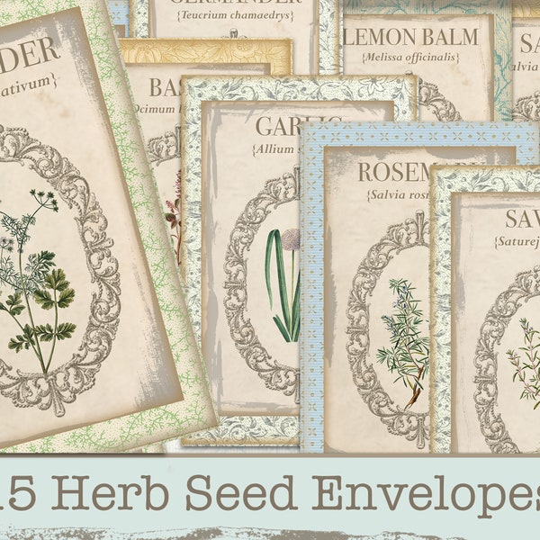 Digital Seed Packet, Herbs, Botanical Envelopes for Junk Journaling, Herb Seed Packets, Printable Herb Pages, Fussy Cut Digital, Envelopes